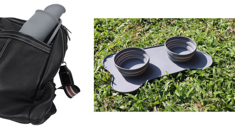 travel dog bowl